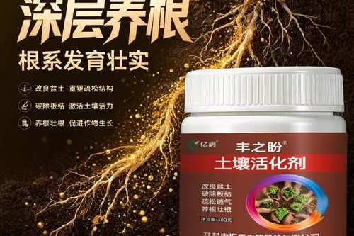 土壤调理剂 10.8/瓶 土壤活化剂通用型肥料多功能植物绿植壤活化宝花
