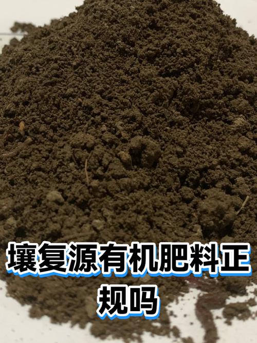 从资质查询到生产信息核实,提供判断产品正规性的实用方法,帮助用户