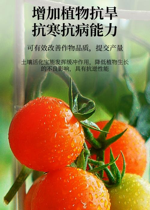 土壤活化宝士壤活化剂矿源黄腐酸钾改善土壤板结改良剂松土剂疏松土壤