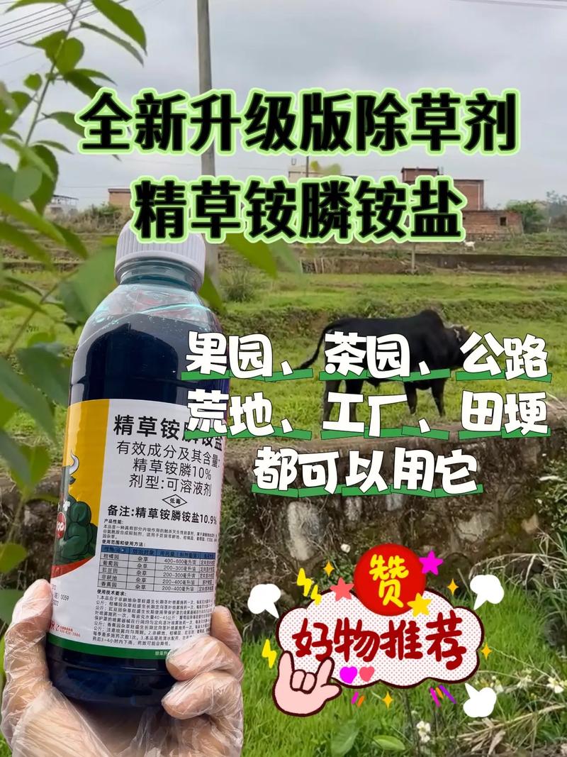 春季气温回升,杂草也从士壤中钻出来啦!又到了除草的季节啦,今